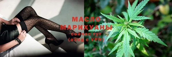 индика Киренск