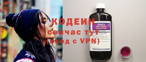 индика Киренск