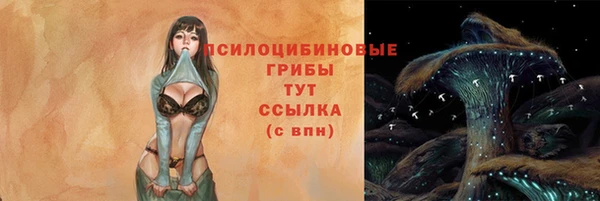 трава Кинешма