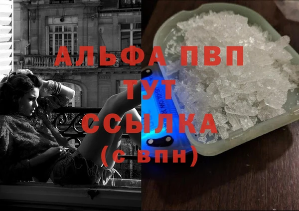 индика Киренск