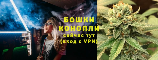 индика Киренск